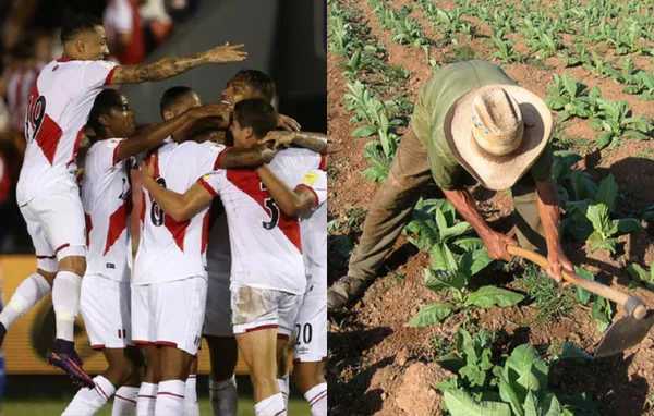 De brillar con la bicolor a convertirse en agricultor