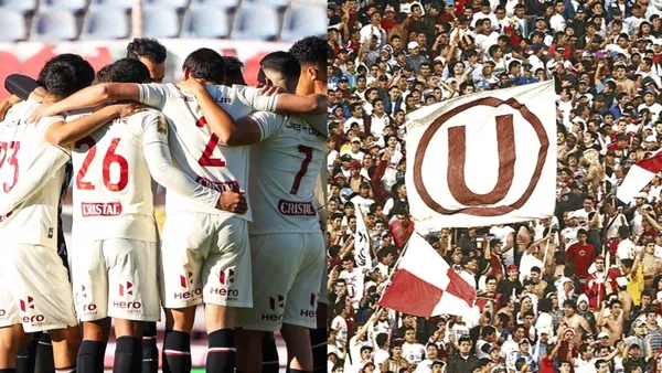 Universitario.
