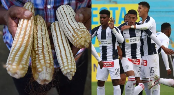 Yordi Vilchez pasó de ser un desconocido, a ser uno de los promesas que tiene Alianza Lima para la presente temporada