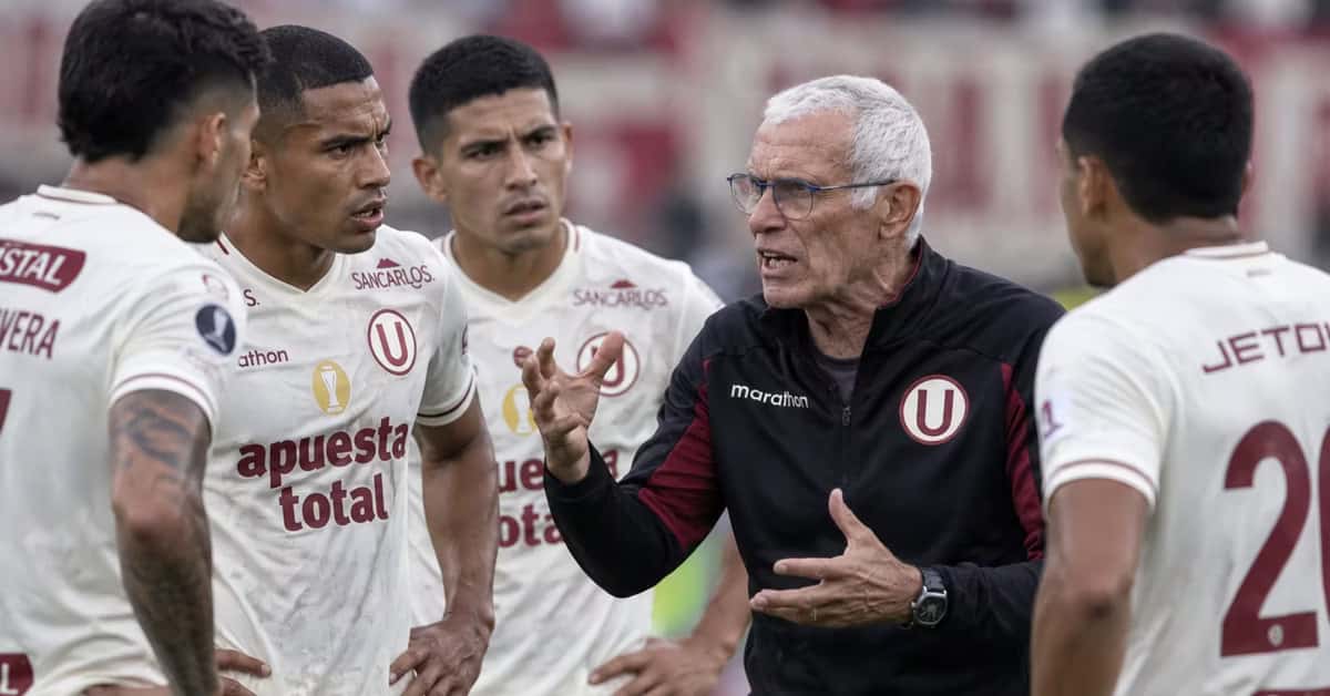 Universitario