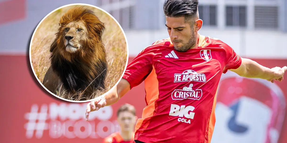 Carlos Zambrano (Foto: Selección Peruana).