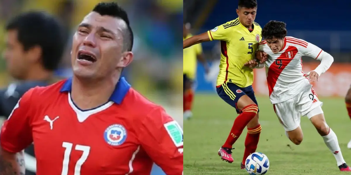 Chile no supo cuidar a Sebastien Pineau y ahora se arrepienten