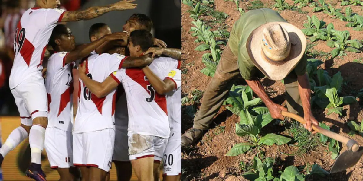 De brillar con la bicolor a convertirse en agricultor