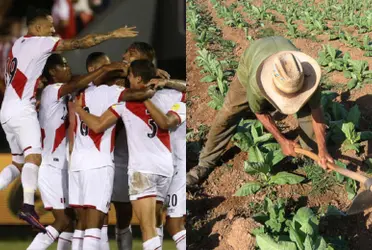 De brillar con la bicolor a convertirse en agricultor