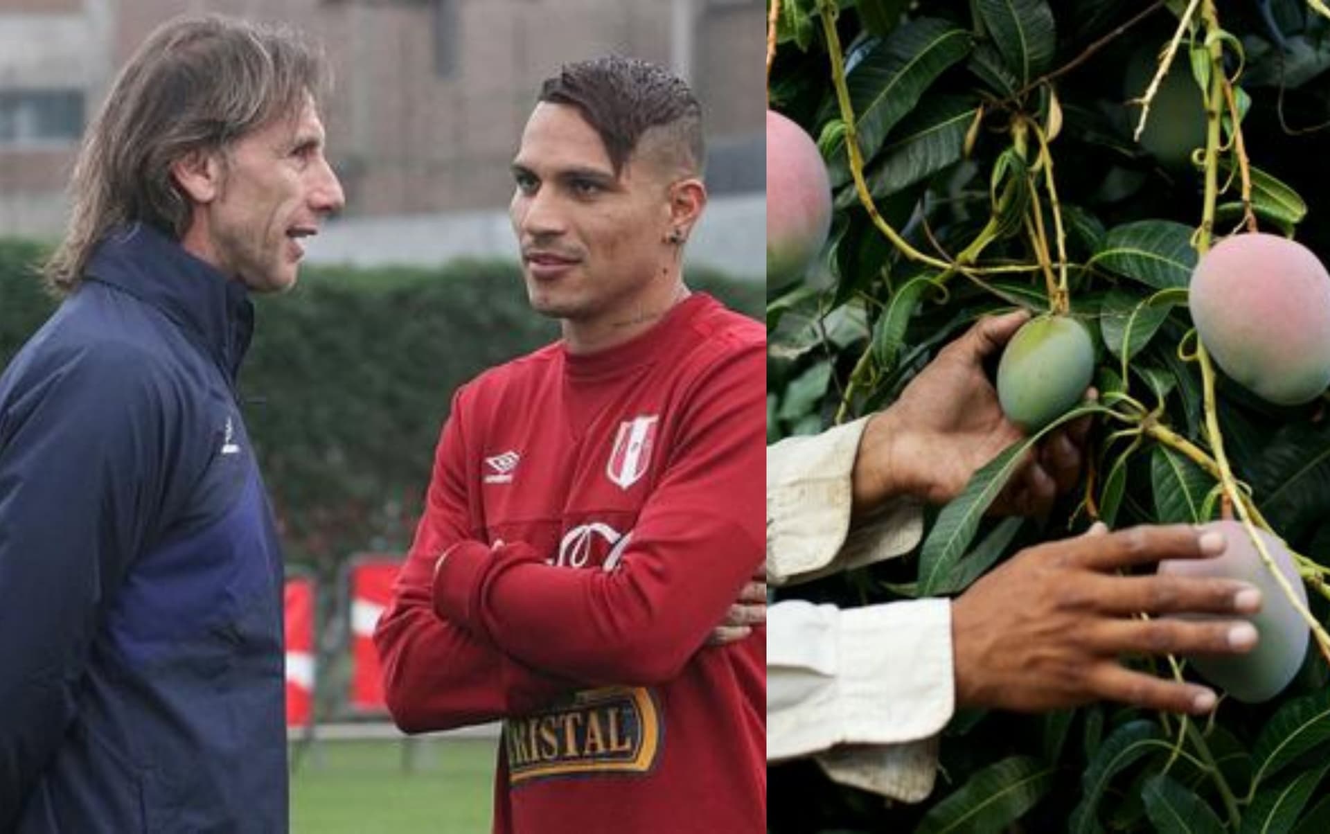De ser un goleador que prometía mucho en la Selección Peruana, ahora cultiva mangos