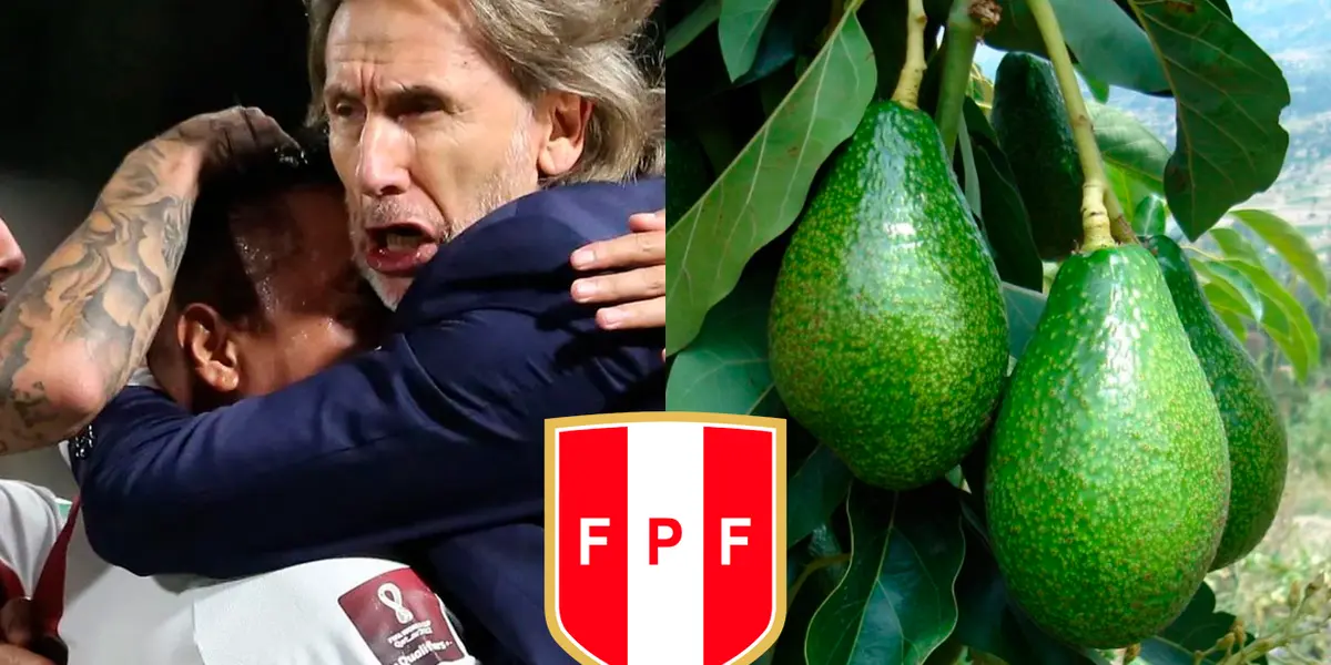 Dejó la Selección Peruana en donde le fue muy bien y ahora también tiene éxito gracias al sembrado de paltas