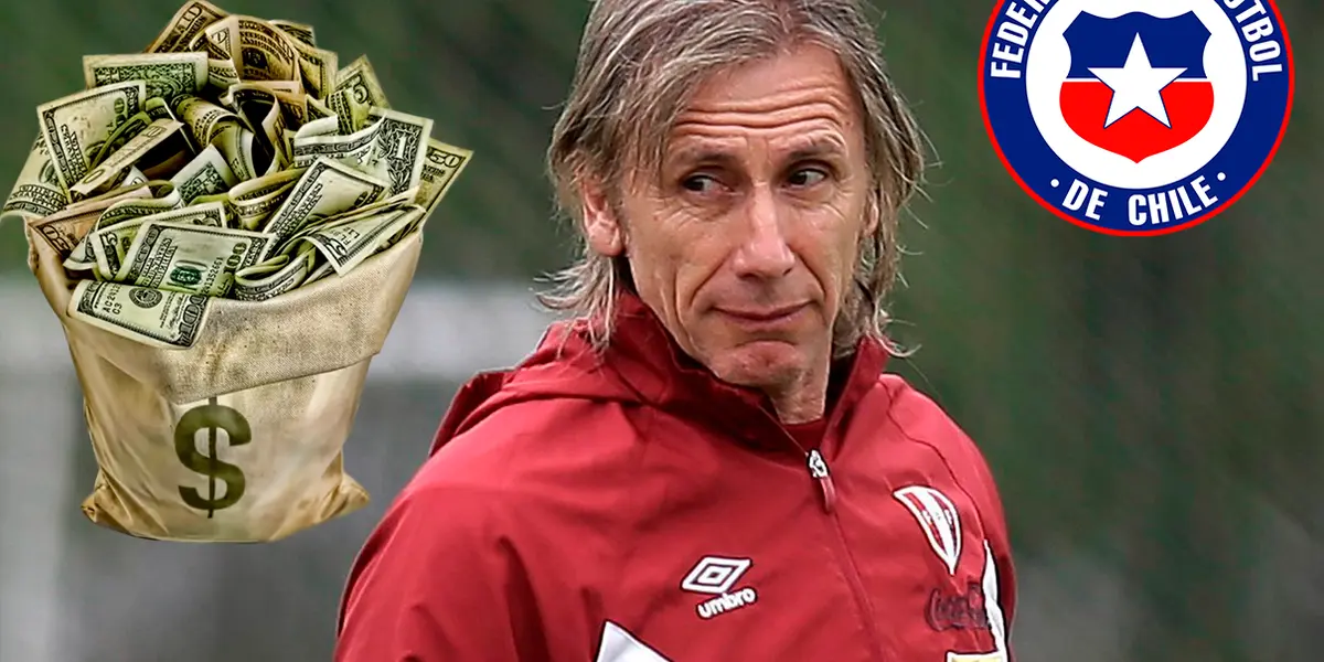 Desde el país sureño informan que se hará todo lo posible para contratar al entrenador argentino