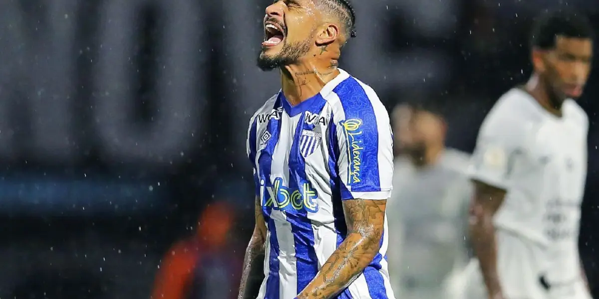 El ‘Depredador’ no deja de recibir críticas desde que descendió con Avaí