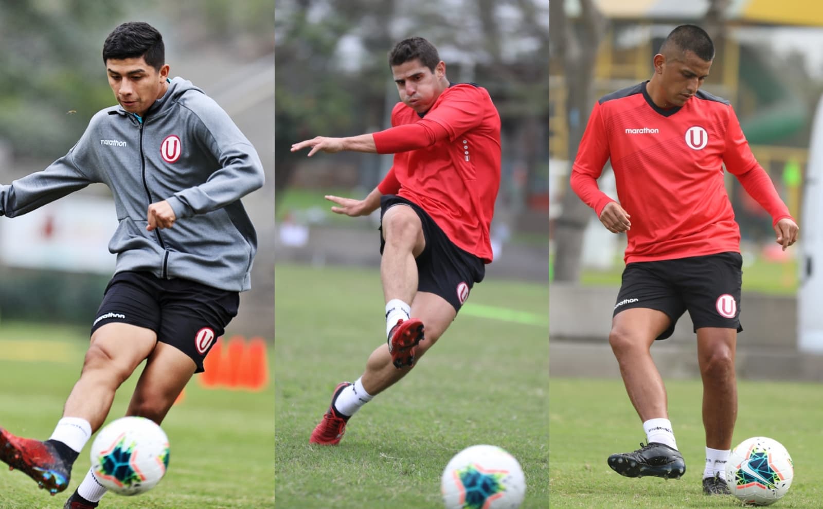 En el mundo "crema" está la incóginta en al aire. No se sabe con que defensores alineará Comizzo ante Sporting Cristal