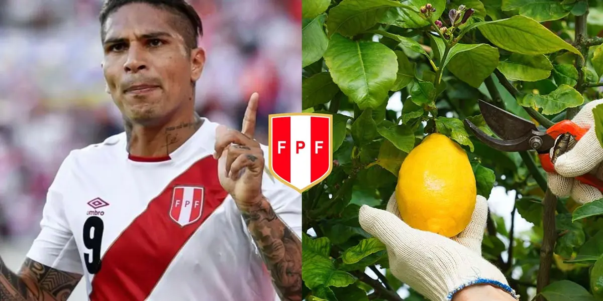 Ex seleccionado peruano y su nueva vida en el campo en el norte de nuestro país