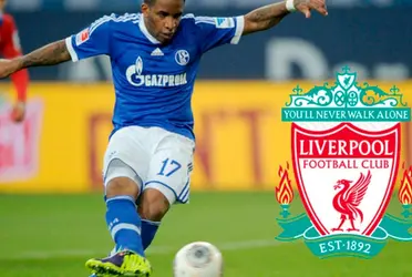 Hoy, el valor de la 'foquita' disminuyó considerablemente.