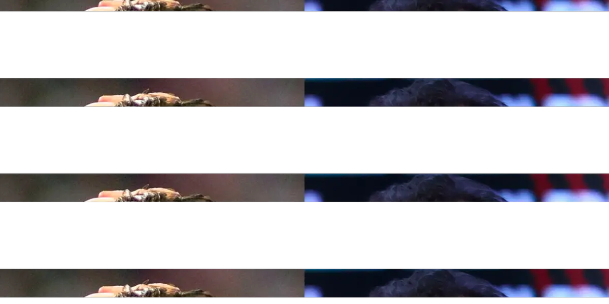 Juan Reynoso no cree en camisetas y la tiene clara con la Selección Peruana