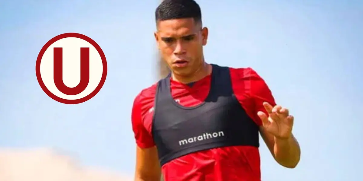 La nueva posición que tendría Yuriel Celi para Carlos Compagnucci