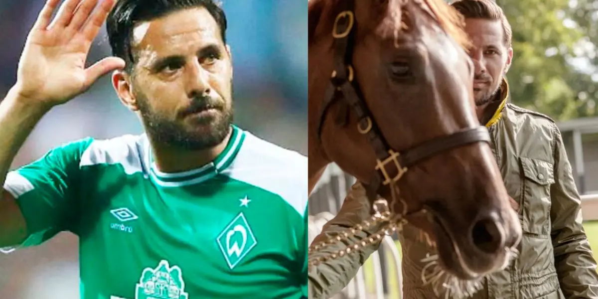 Mientras Pizarro ganó en sus últimos años en Werder Bremen $1.2 millones, lo que ganaría si vende a sus caballos