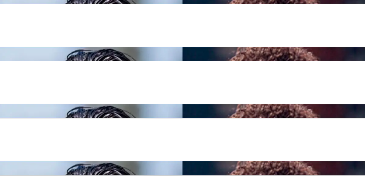 Paolo Guerrero no la pasa nada bien en Brasil al igual que Gianluca Lapadula en Cagliari