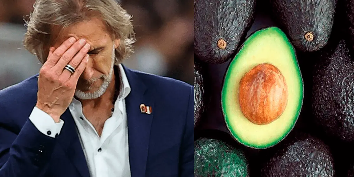 Tras el fracaso de la Selección Peruana perdió su trabajo y ahora se dedica a sembrar paltas