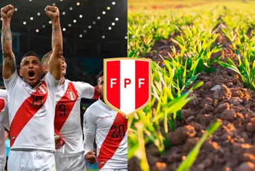 Tuvo una gran performance en la Selección Peruana, pero hoy se dedica a la agricultura