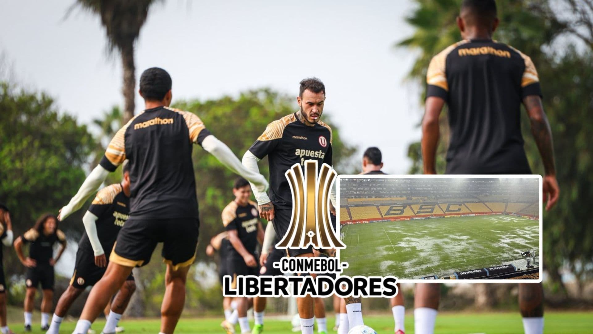 Universitario de Deportes (Foto: X de Universitario)